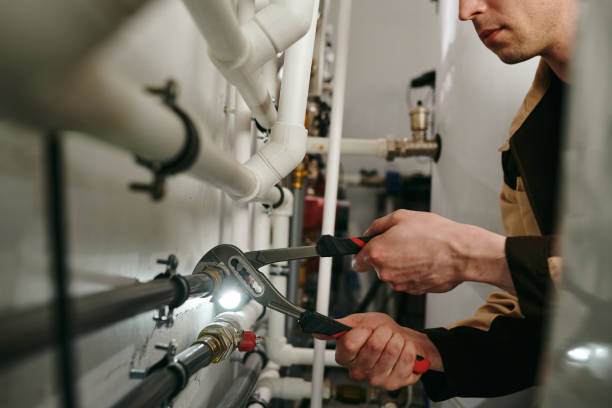 Best Local Plumber Services  in Las Lomas, TX
