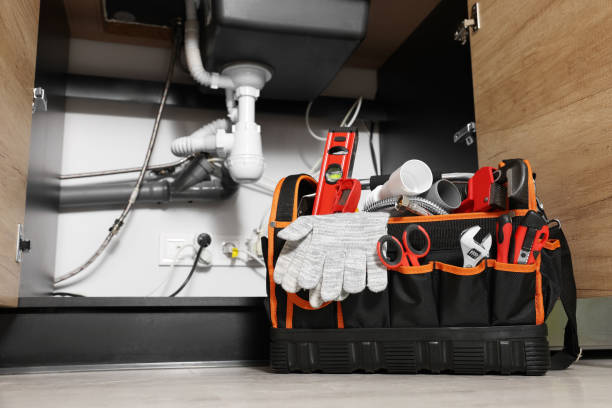 Best Water Softener Installation  in Las Lomas, TX
