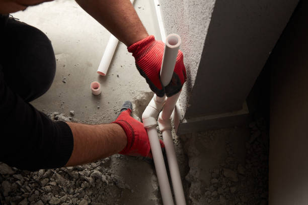 Best Residential Plumbing Services  in Las Lomas, TX