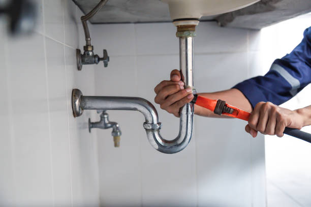 Best Emergency Plumbing Repair  in Las Lomas, TX