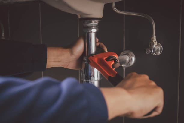 Best Residential Plumbing Services  in Las Lomas, TX